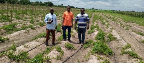 The Impacts and Benefits